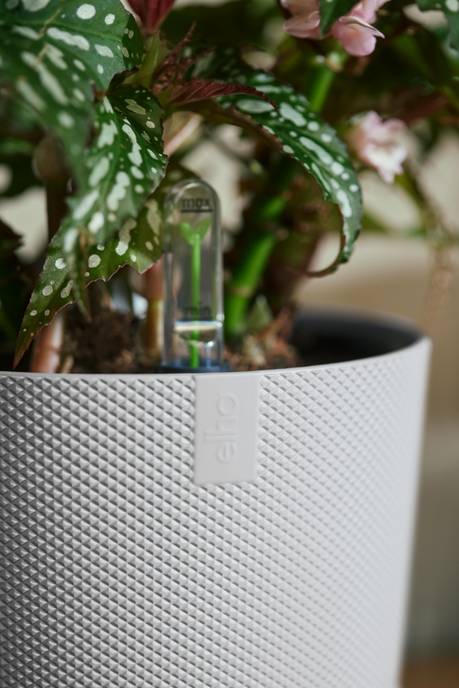 jazz rond 19cm zijdewit